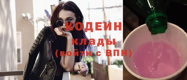 индика Коряжма