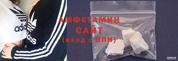 индика Коряжма