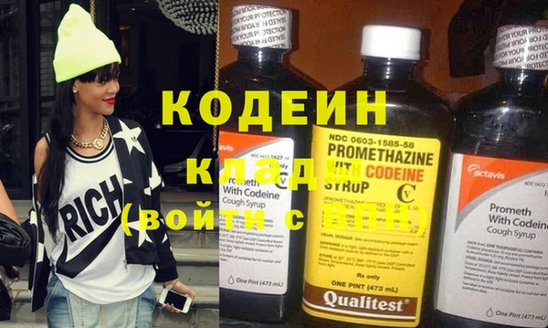 индика Коряжма