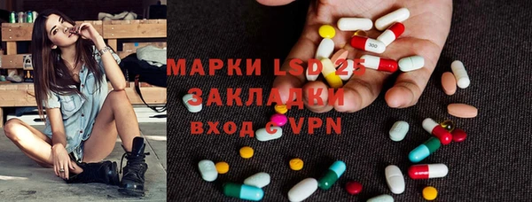 индика Коряжма