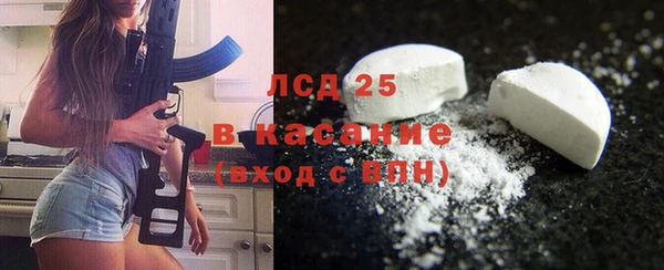 индика Коряжма